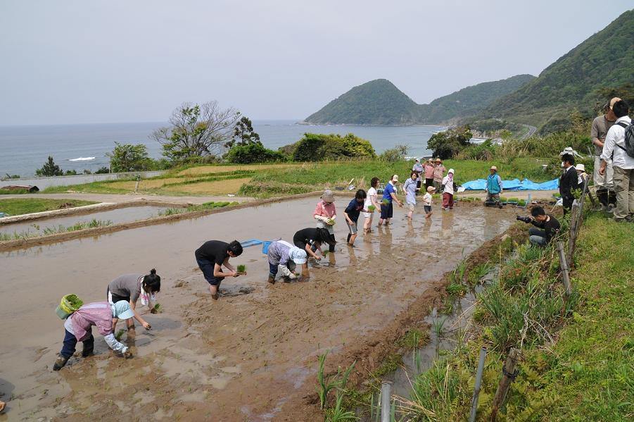 袖志の棚田