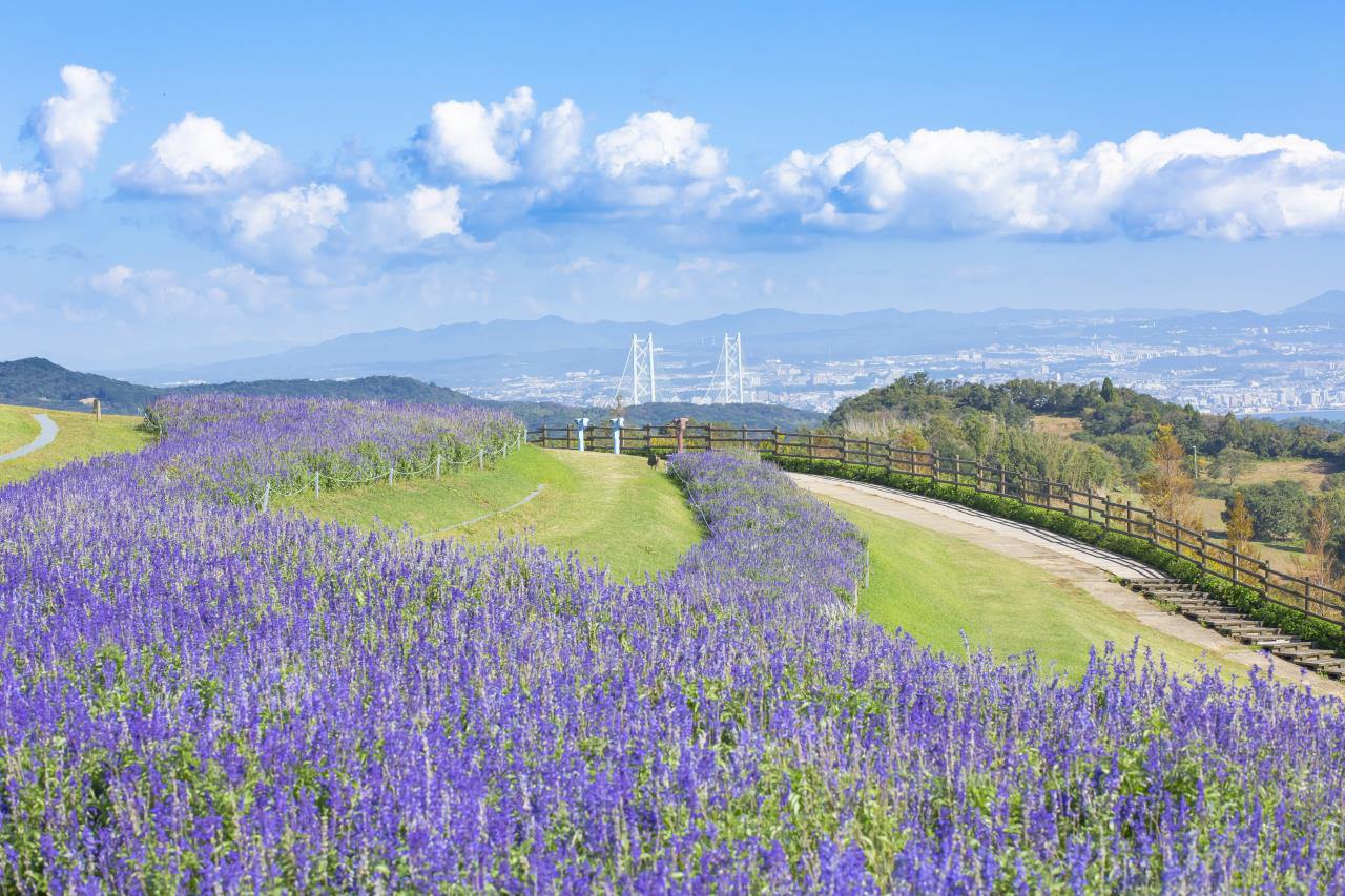 Awaji Island Festival