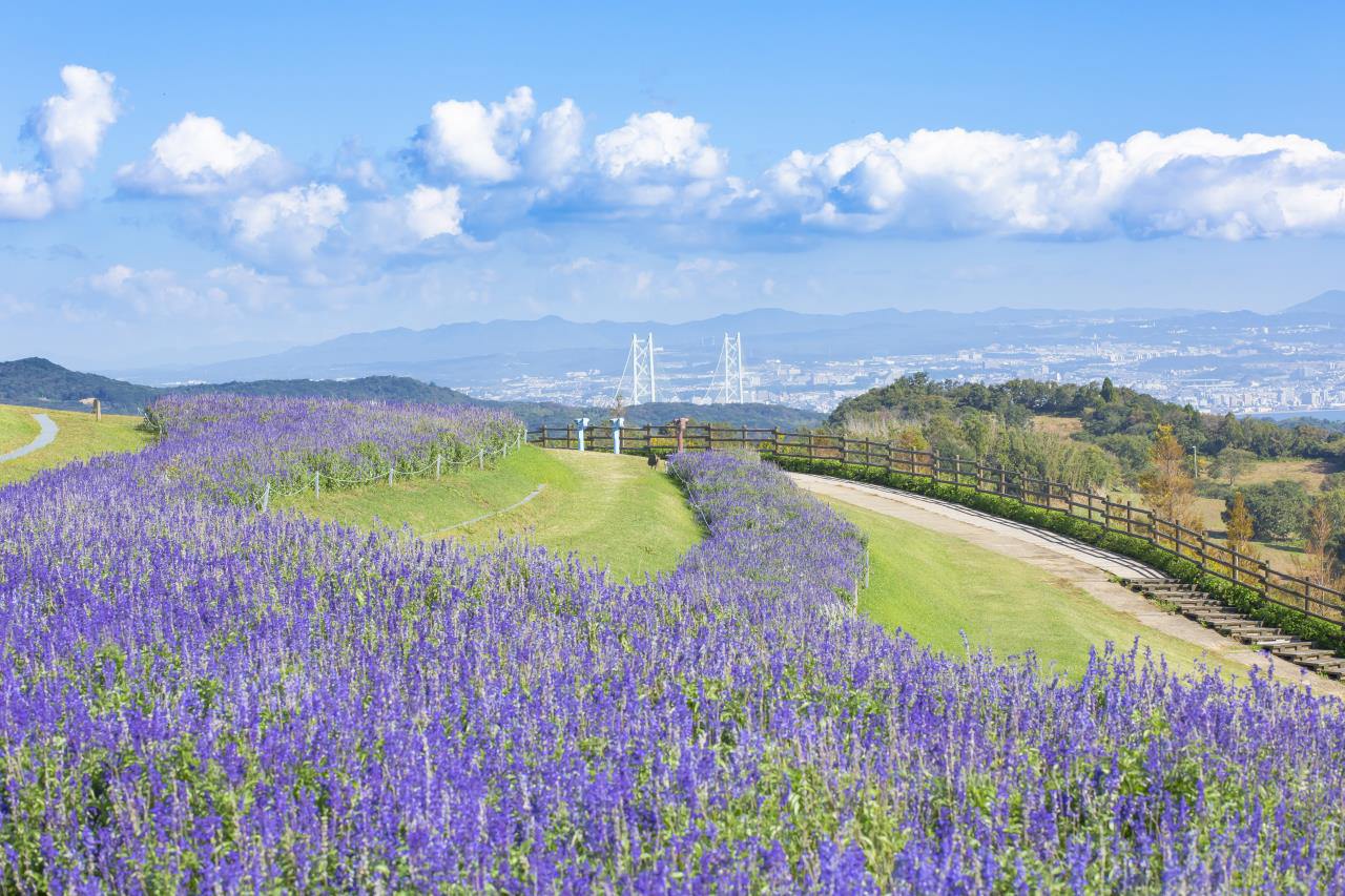 [Annulé cette année] Festival d'Awajishima