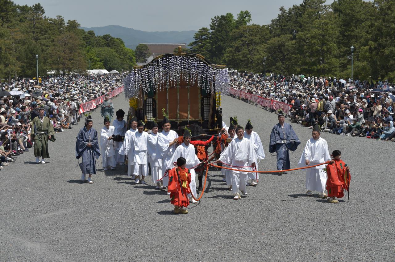 Aoi Festival