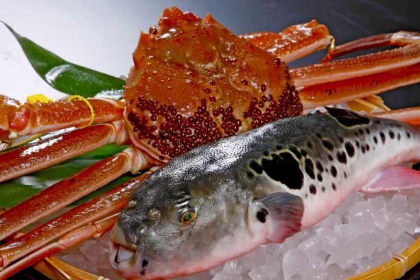 Echizen crab and Wakasa fugu are offered at a low price here by the fish wholesaler