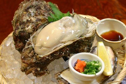 A big fat oyster from Wakasa Bay is best as sashimi