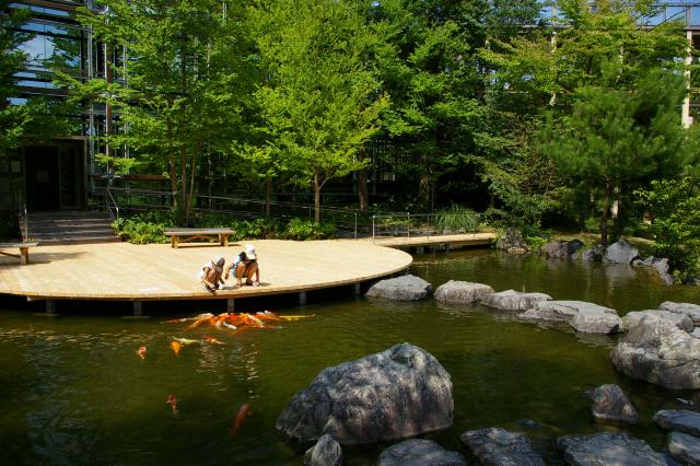 【水景園】庭園の中で鯉のえさやりをすることもできます。