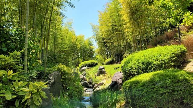 【谷あい】小川と竹林が日本の原風景を表現しています。