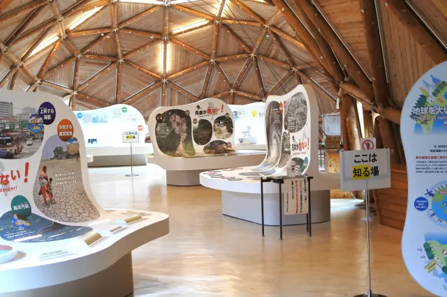 展示室では環境破壊の現実、環境問題、人と自然の共生について、体験しながら学ぶことができます
