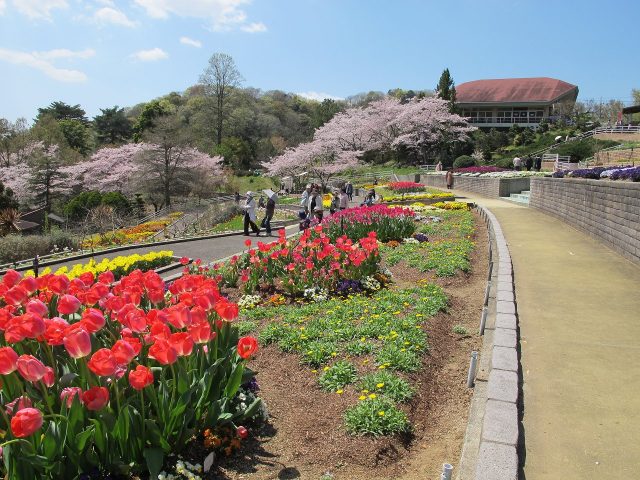 パノラマ花壇と本館