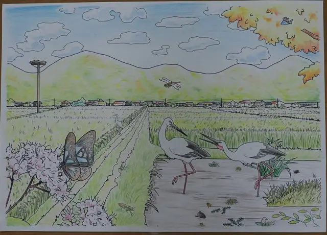 「コウノトリが暮らす豊岡の四季（秋）」を塗り絵にしました。幼児も楽しめる簡単な塗り絵や切り紙もあります。