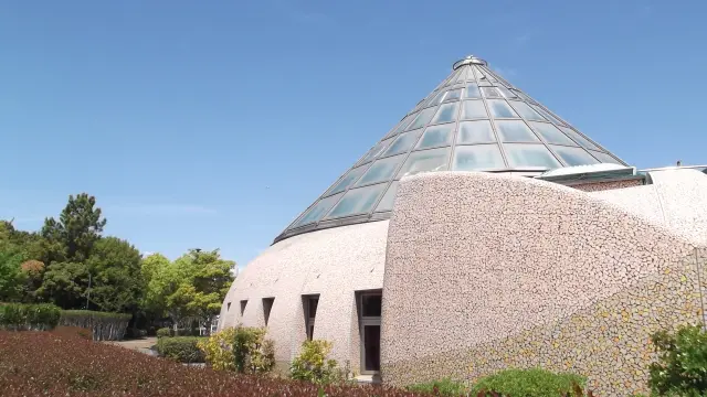 貝塚市立自然遊学館