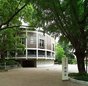 関西大学博物館