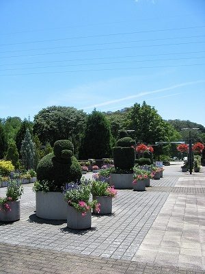 宇治市植物公園