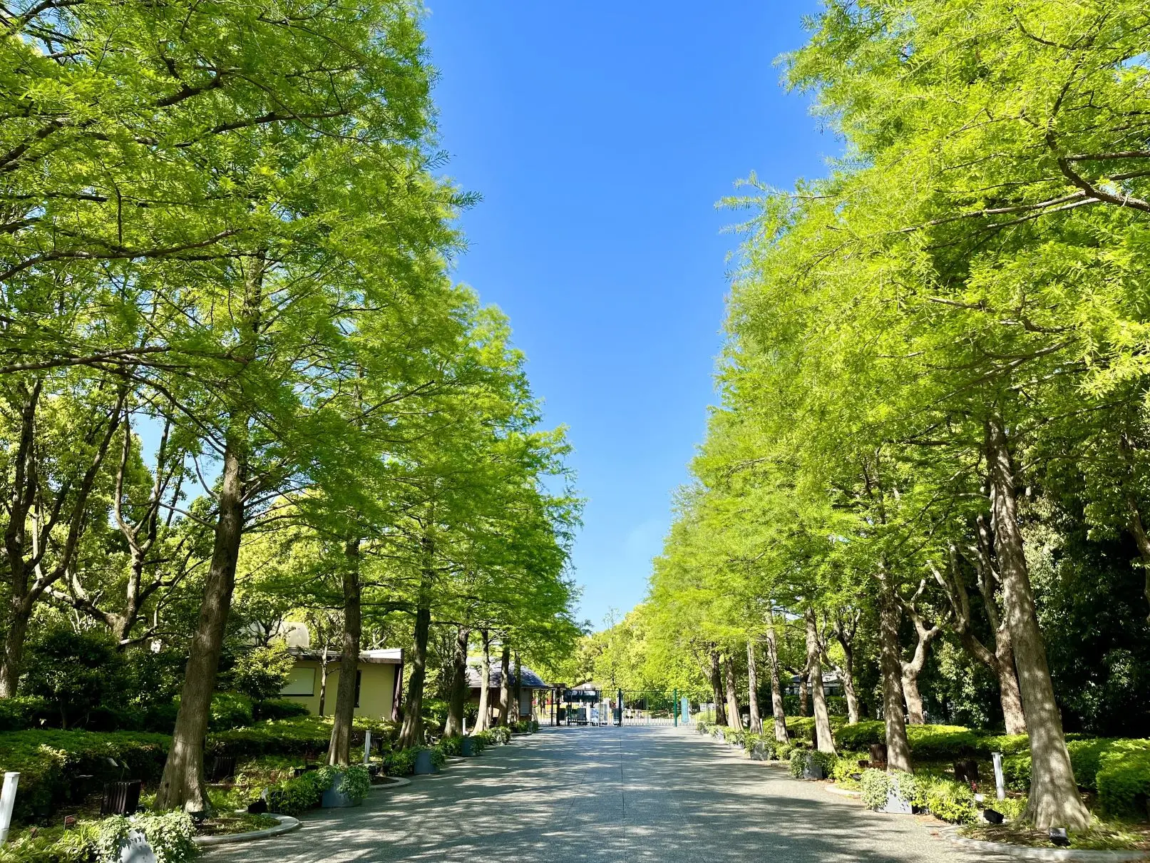 長居植物園 | The KANSAI Guide - The Origin of Japan, KANSAI