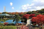 紅葉期には美しいもみじが庭園に映える