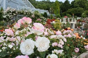 大阪府立花の文化園