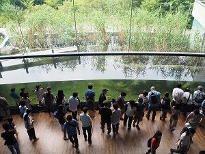 滋賀県立琵琶湖博物館