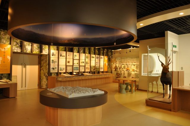 氷ノ山の自然・文化に関する資料が展示してある学習展示ルーム