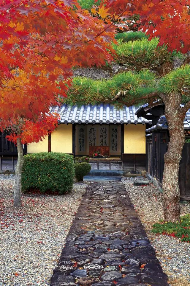 Former Nagai Family Residence in autumn. Here, you can enjoy the maple leaves as they turn a vivid red.