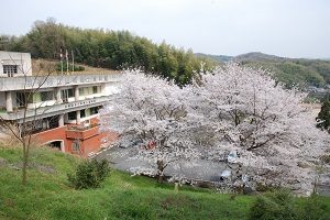 京都府立山城郷土資料館