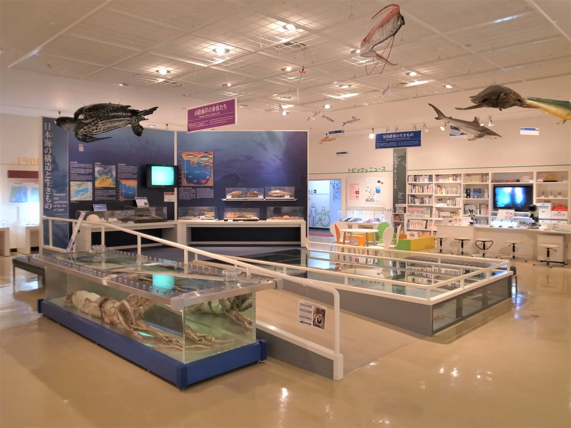 鳥取県立山陰海岸ジオパーク海と大地の自然館 - 見どころ、交通 & 周辺