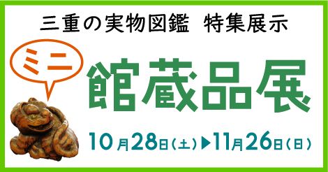 三重の実物図鑑　特集展示　ミニ館蔵品展