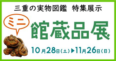 三重の実物図鑑　特集展示　ミニ館蔵品展