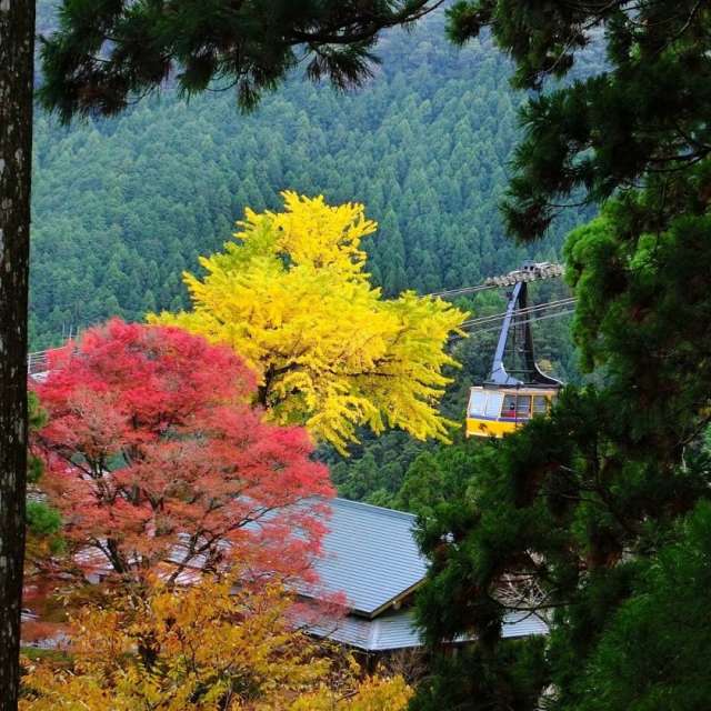 A ropeway with capacity for 101 passengers (in the autumn)