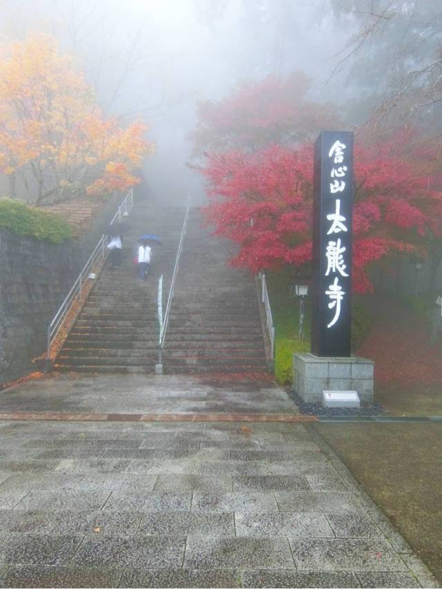 Tairyu-ji Temple (autumn leaves)
