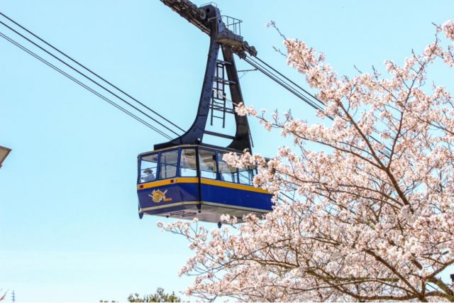 A ropeway with capacity for 101 passengers (during cherry blossom season)