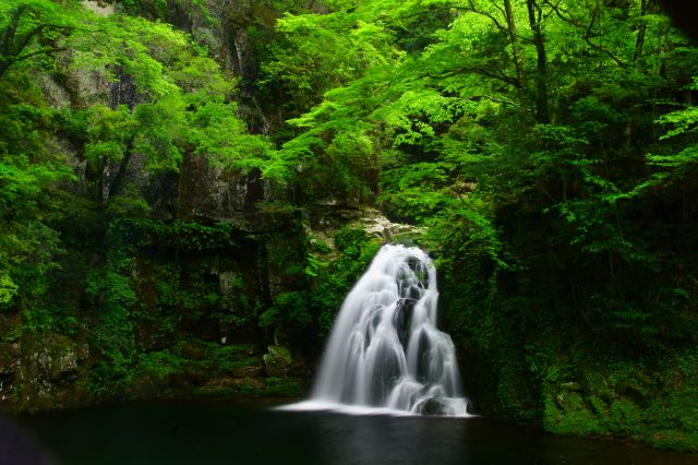 Senju Waterfall, surrounded by the new green leaves of the spring