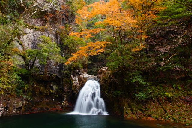 Senju Waterfall, surrounded by the red leaves of the fall
