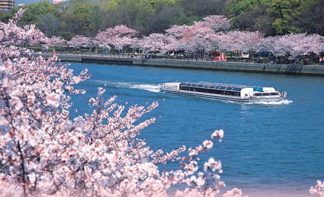 Spring The Aqua Liner sailing under rows of cherry blossom avenues