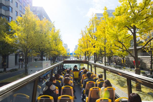 車内からイチョウ並木風景