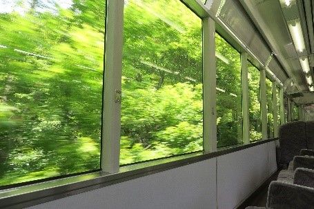 新緑の「もみじのトンネル」の車窓
(c)叡山電鉄株式会社