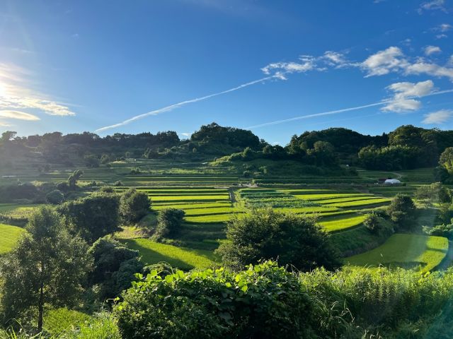 Terraced rice paddies of Inabuchi