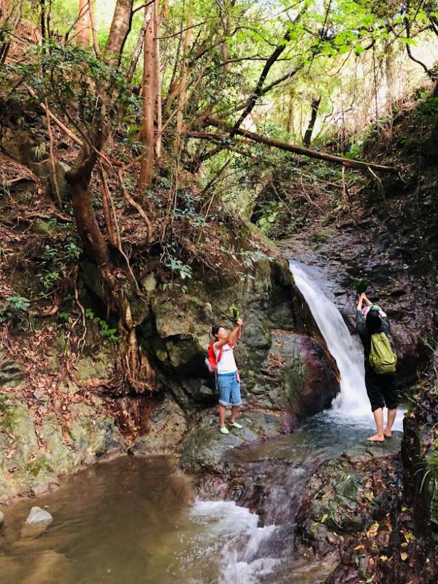 Experience an Amagoi rain prayer at the Mebuchi waterfall.