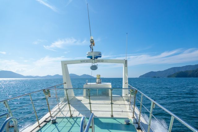 View from the boat