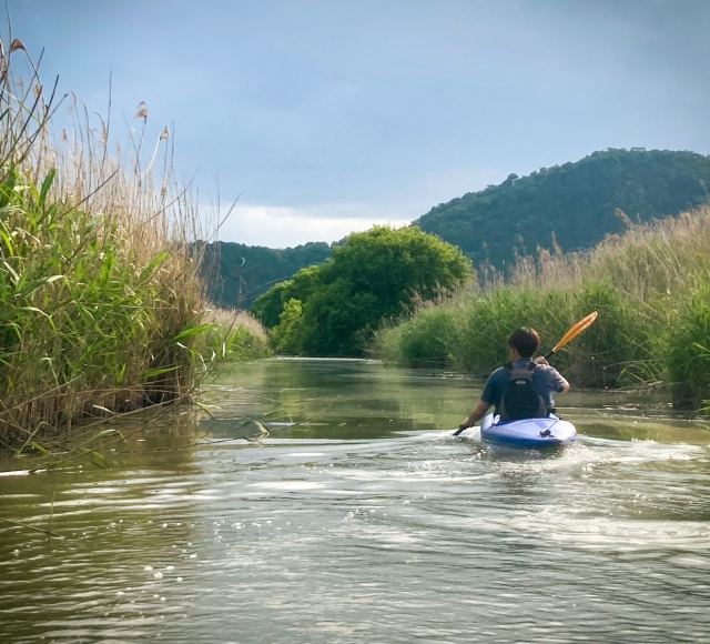 A serene paddle through the reed belt of Lake Biwa
