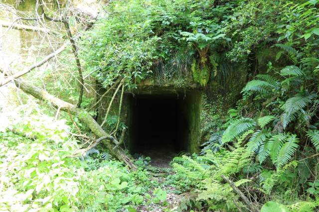 神秘的な宮谷石切場跡～トンネルを抜けるとそこは別世界～