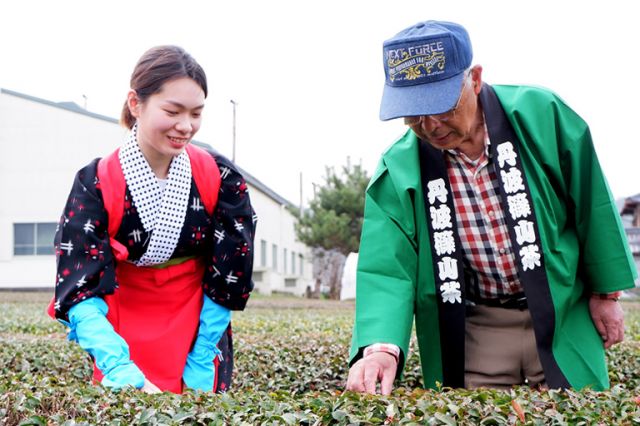 Take photos and experience the tea ceremony at a 1200-year-old tea house in Tambasasayama