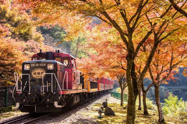 Kameoka Torokko to Hozukyo Torokko: Riding the Sagano Romantic Train through the autumn leaves
(c) Sagano Scenic Railway Co.,Ltd.
