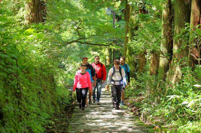 A temple pathway surrounded by nature
一般社団法人　大山観光局