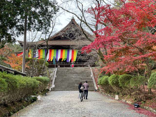 Discover Local Traditions and Food in Otsu Hyakucho