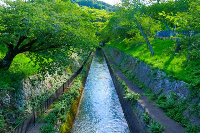 日本で最大の湖・琵琶湖の水を京都市へ流すため、100年以上前に造られた水路です。石とレンガを組み合わせ、当時の最新技術で建てられました。水路と自然が織りなす風景は、現在では琵琶湖を代表する景観となっています。
