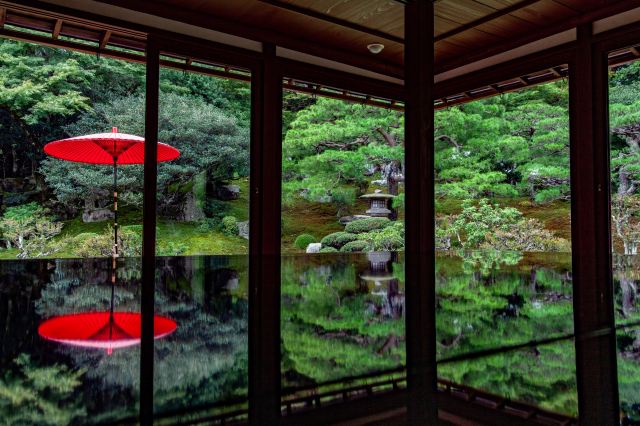国指定の名勝で、清流を取り入れ、借景を用いた美しい日本庭園で知られるスポットです。起伏に富んだ築山や、五重の石塔などの建造物も庭園内に多いのが特徴です。バリエーションの豊かな庭園風景を楽しみましょう。