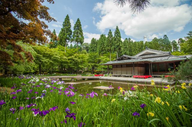 敷地内の四季折々の画像