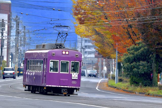 道路を走る嵐電
（C）京福電気鉄道
