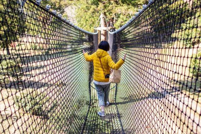 tree top walk, nature, outdoor, cafe, experience