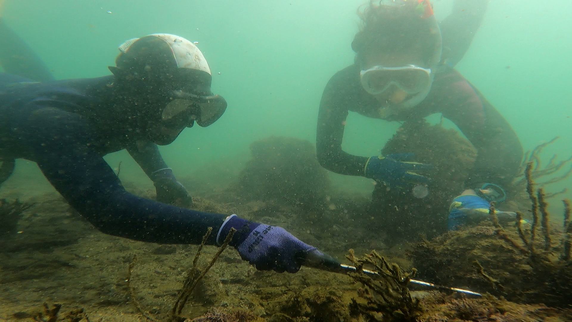 Ama Adventure Tour! - Must-See Trip Plans, Access, Hours & Price | The  KANSAI Guide - The Origin of Japan, KANSAI