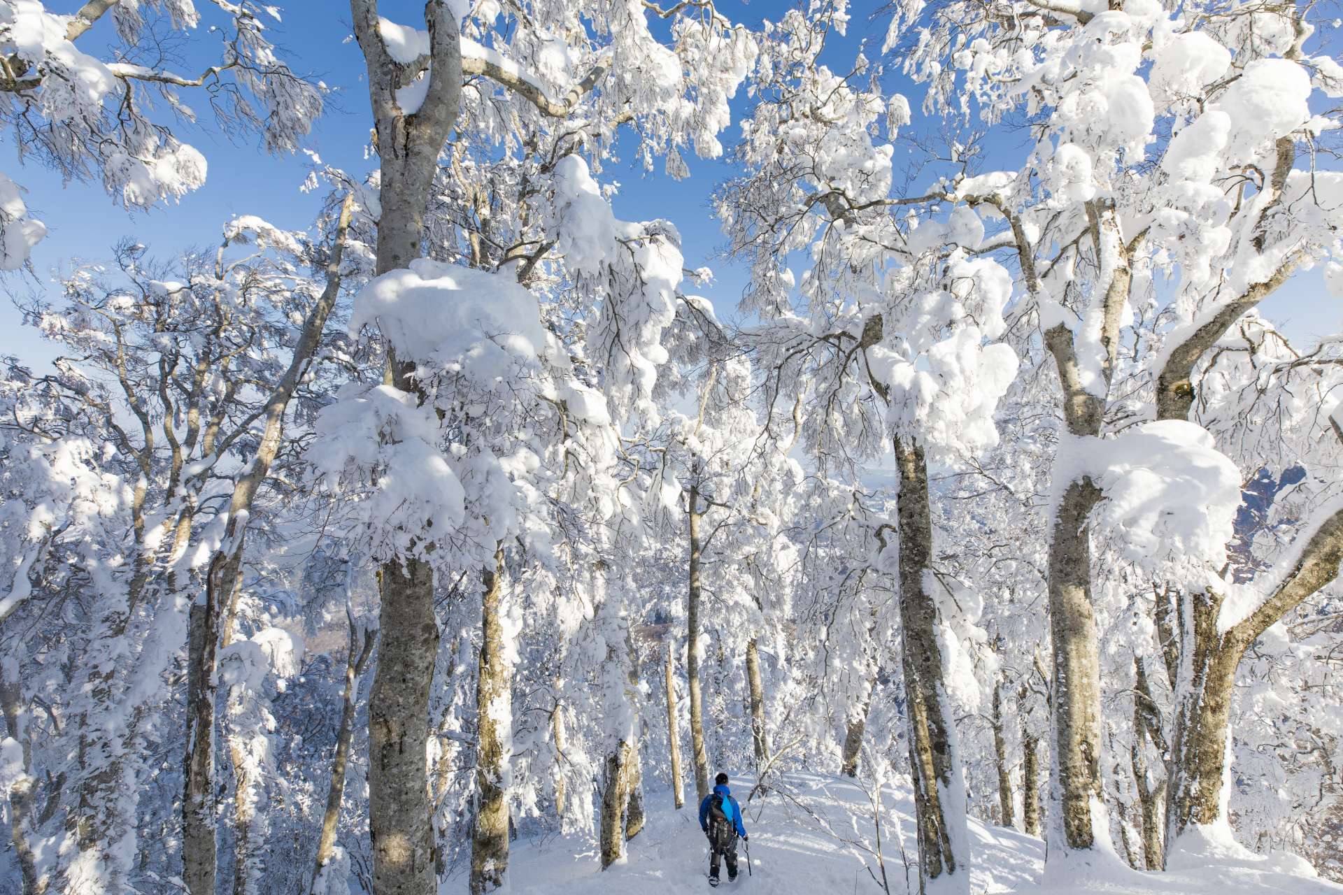 A relaxing snowshoe plan that you can enjoy