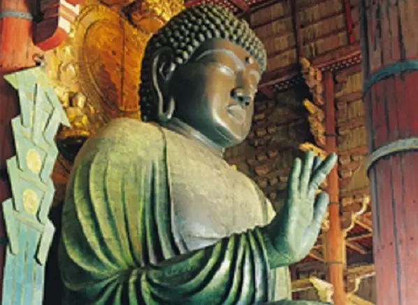 Nara Sightseeing Bus