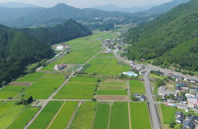 夜久野町の里山の風景